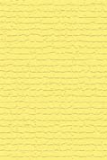 SB cover background